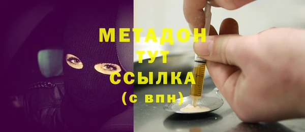 индика Инта