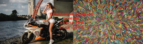 бошки Сатка