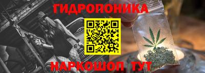 стафф Кинель