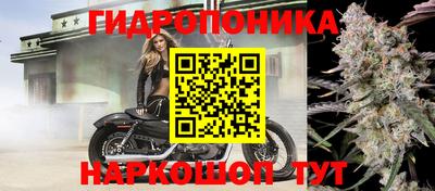 ешки Кимры