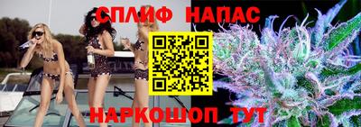 apvp Можга