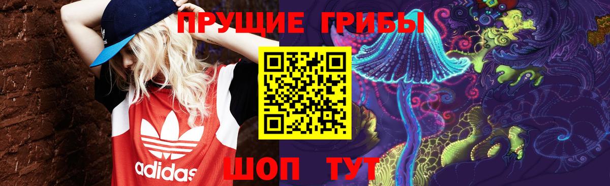 где найти наркотики  Псилоцибиновые грибы Magic Shrooms  Вход с VPN  Ленинск-Кузнецкий 